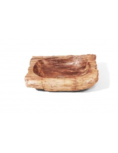 Vasque en bois fossilisé - 1