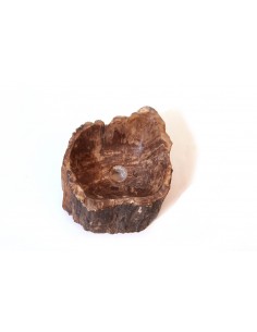 Vasque en bois fossilisé - 4