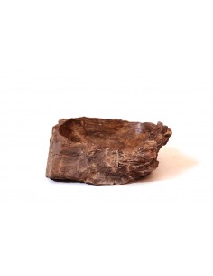 Vasque en bois fossilisé - 5