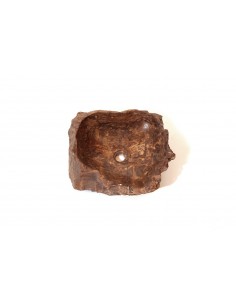 Vasque en bois fossilisé - 5 2