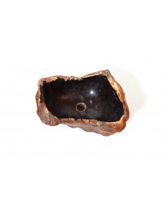 Vasque en bois fossilisé - 6