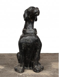 Chien Assis