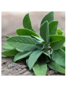 Huile Essentielle Bio Sage... 2