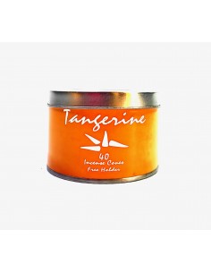 Encens "Agra" en cônes -...