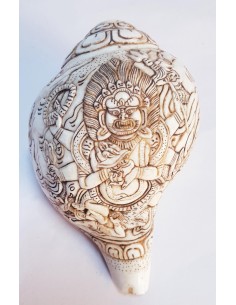 Coquillage Sacré du Tibet