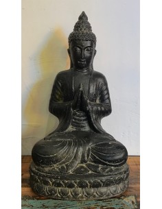 Buddha Assis