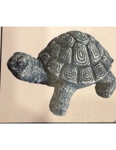 Tortue  Indonésie 30 cm
